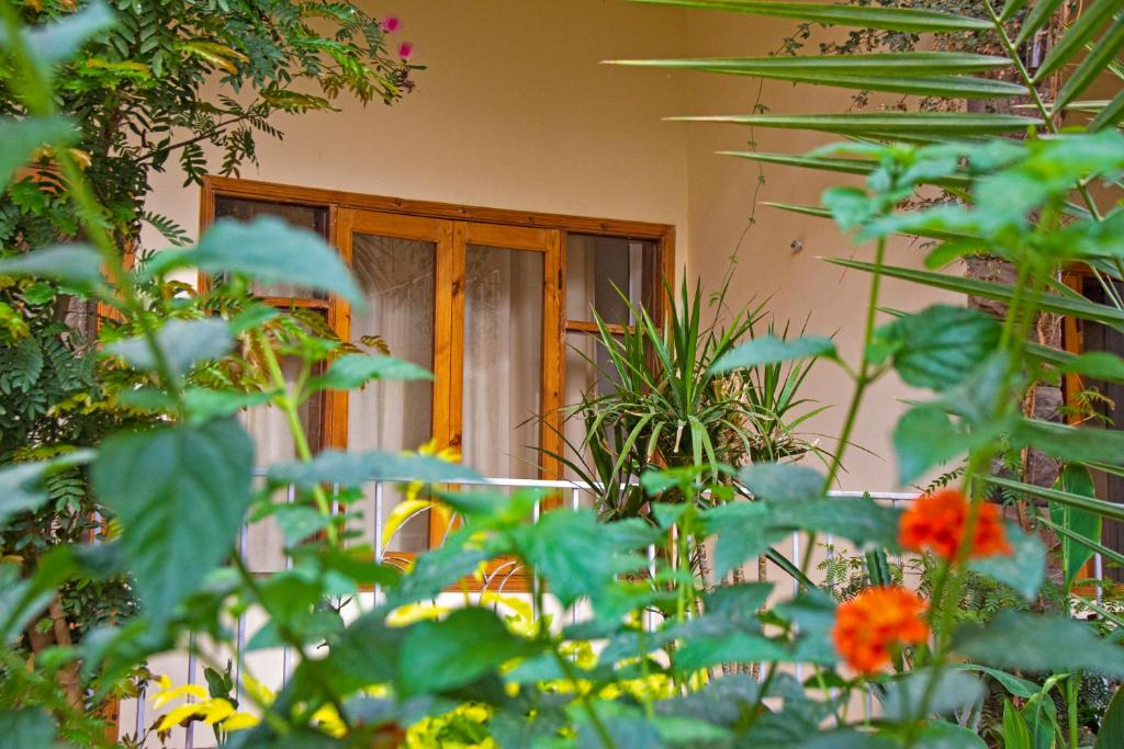 Zahrada ubytování Thebes Hotel