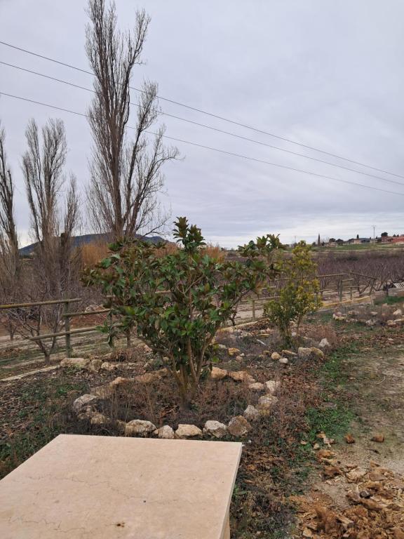 Fotografie z fotogalerie ubytování Cortijo Ojos del Prado v destinaci Caravaca de la Cruz