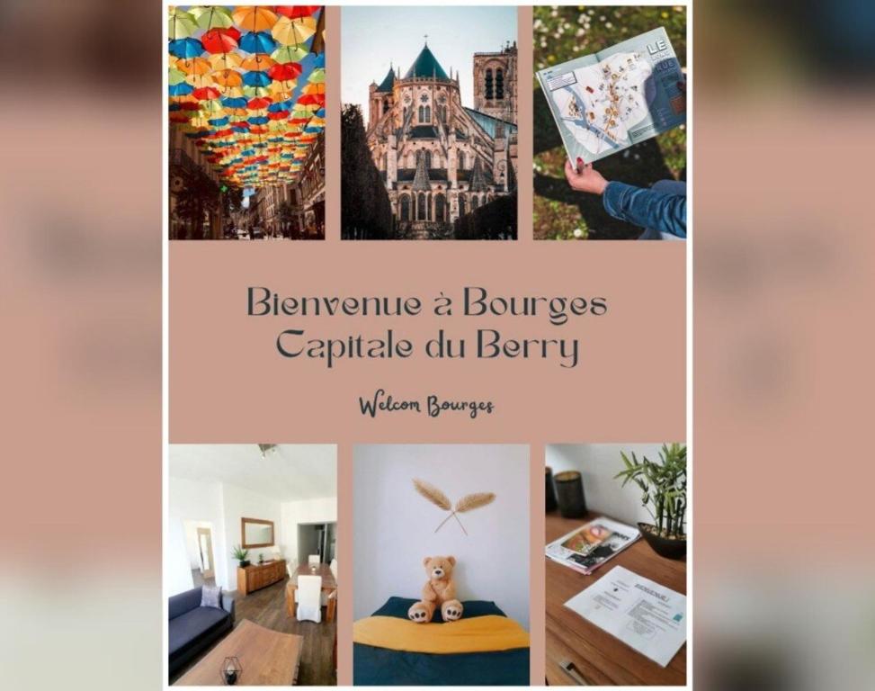 Lumineux & Convivial - Housity
