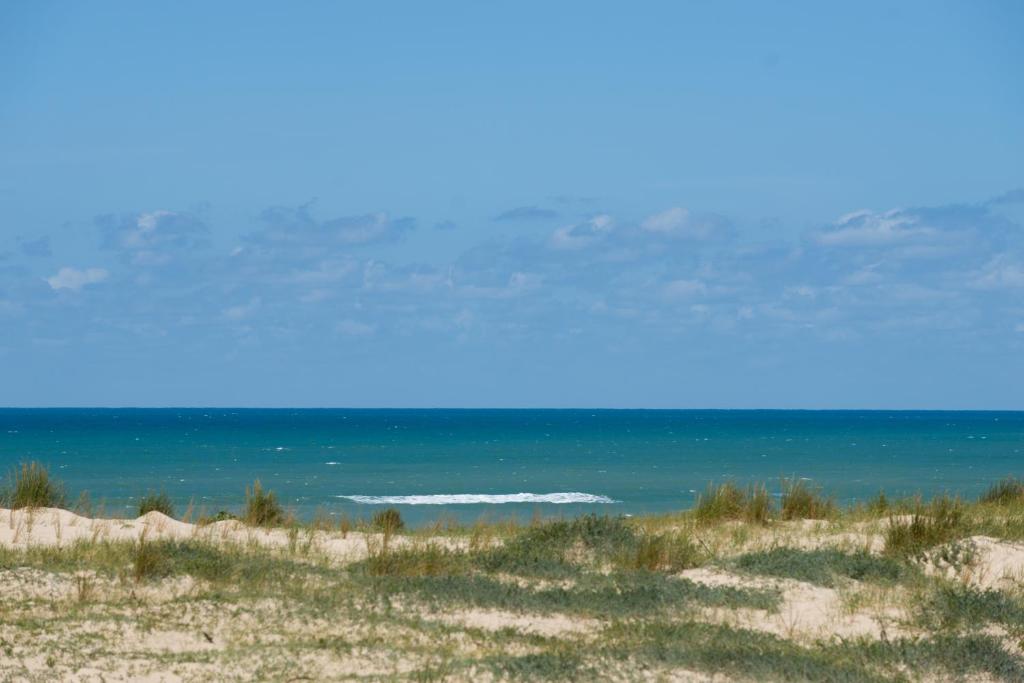 Gallery image of Ferret Vigne - Villa Chambres d&#39;Hôtes in Cap-Ferret