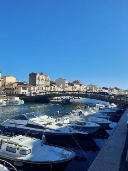 un groupe de bateaux amarrés dans un port dans l'établissement Atypical apartment in Sète, à Sète