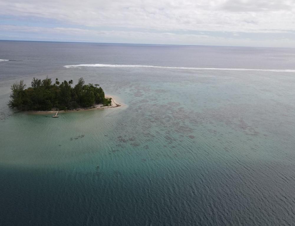 an island in the ocean with trees in the water at Fare Hanuatai in Tevaitoa