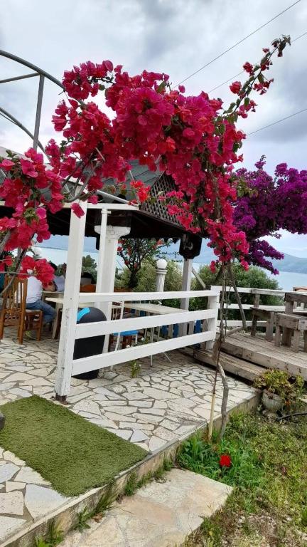 Zahrada ubytování Mermaid Hotel Vlore