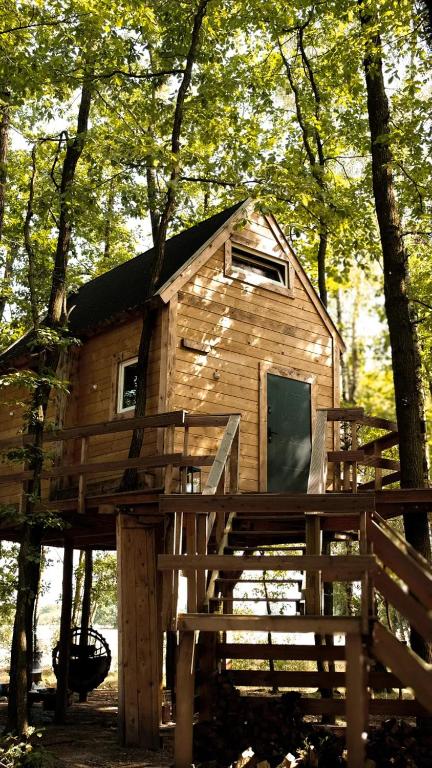 a tree house in the middle of the forest at Stodoła na drzewach in Justynów