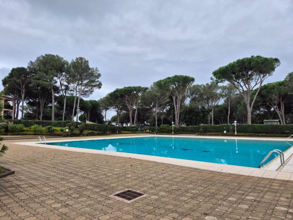 une piscine vide avec des arbres en arrière-plan dans l'établissement Appartement 6 Pers à St Raphaël avec piscine, à Saint-Raphaël