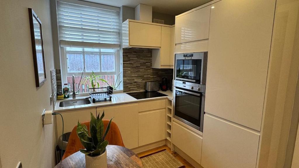 Hotel Central apartment, a kitchen with a sink and a stove top oven at Central apartment in London