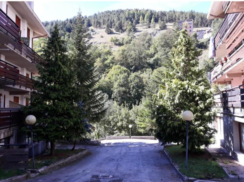 a street with trees on the side of a building at Luna Reale Roccaraso apt in Roccaraso