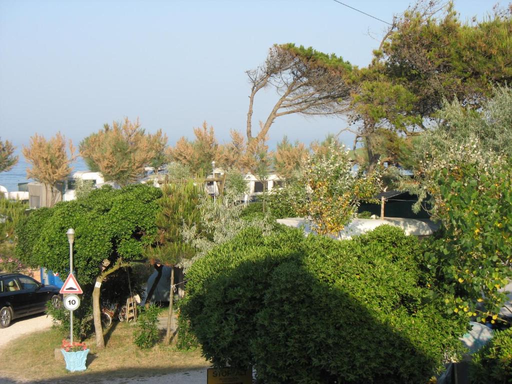 a view of a yard with bushes and trees at Camping La Pineta in Porto Recanati