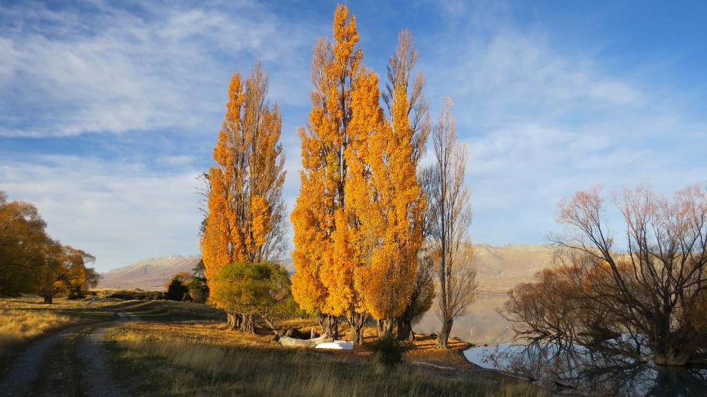 Lake Views at Antler Lodge - Resim 29