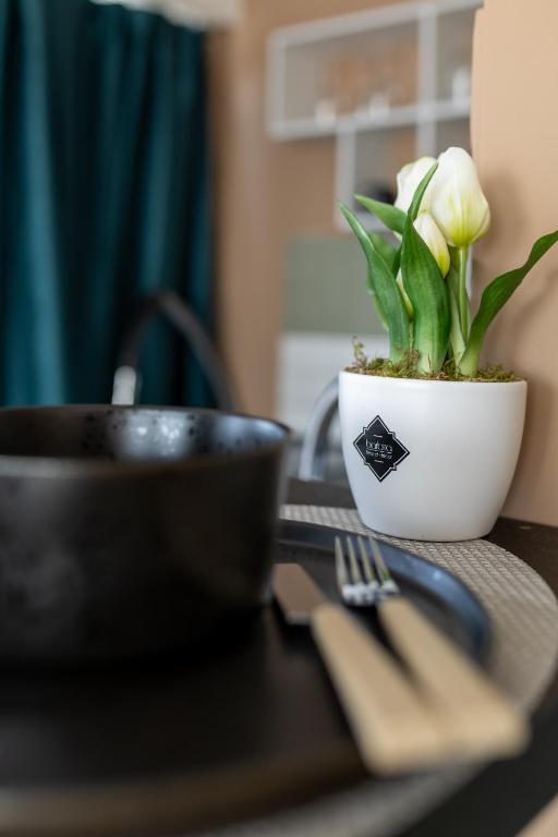 Fotografie z fotogalerie ubytování HelloWine Apartman II v destinaci Eger