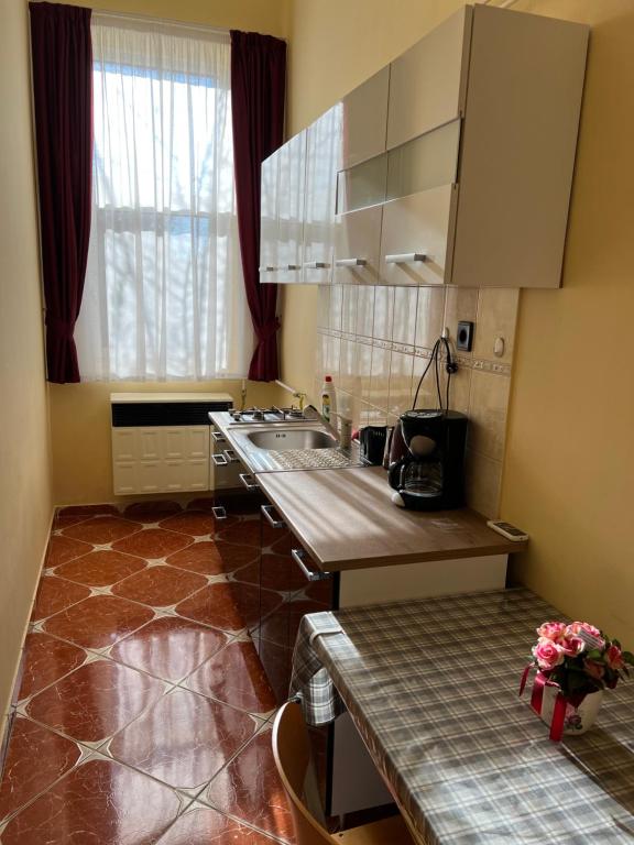 Kuchyň nebo kuchyňský kout v ubytování Helga Apartman