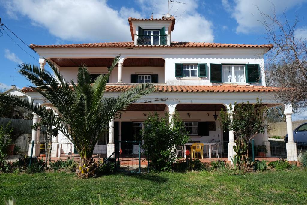 una casa con una palmera delante de ella en A Casa do Olival, en Barreira Grande