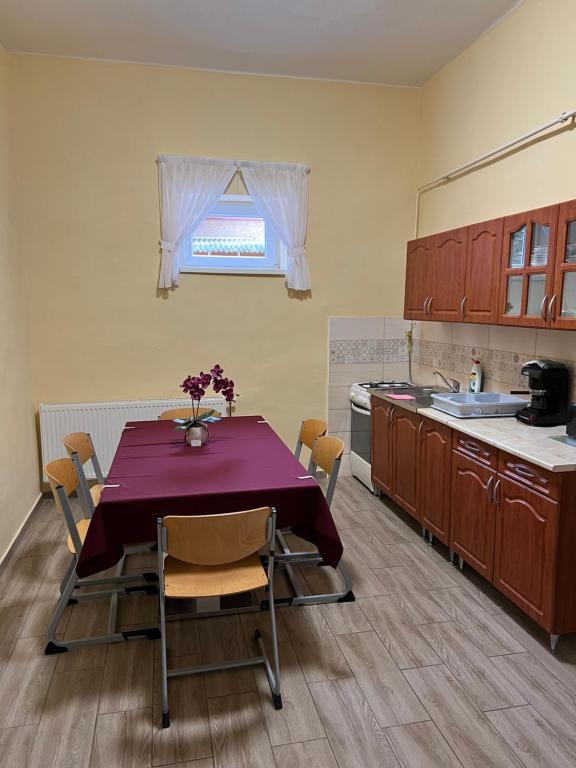 Kuchyň nebo kuchyňský kout v ubytování Helga Apartman