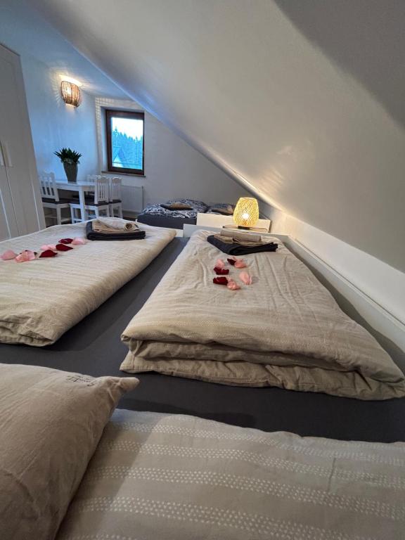 three beds are lined up in a room at Horský domek se zahradou na Javorné u Železné Rudy in Čachrov