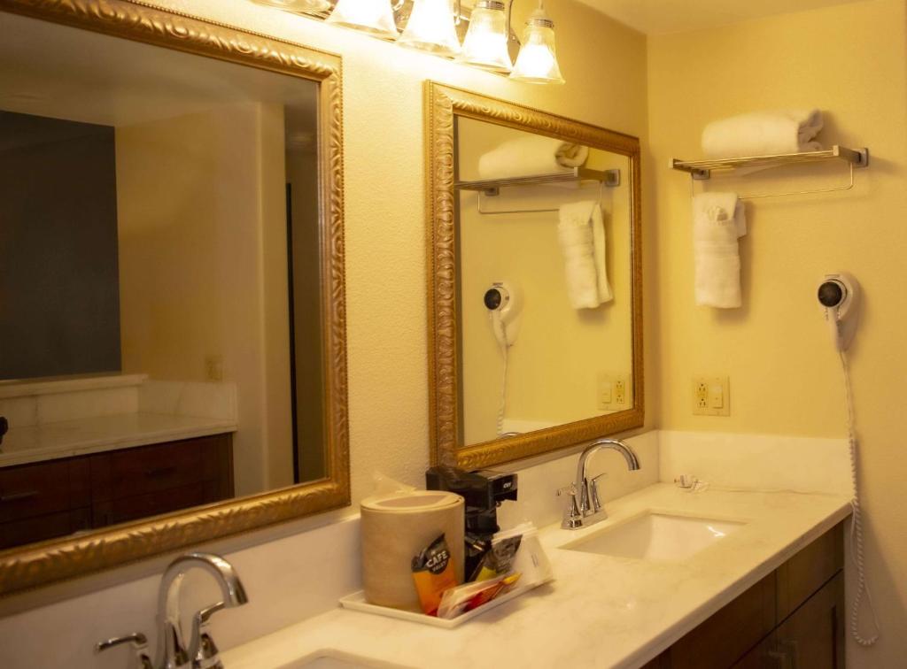 Ramada Plaza by Wyndham Garden Grove/Anaheim South - Junior Suite Con Letto King Size - Non Fumatori