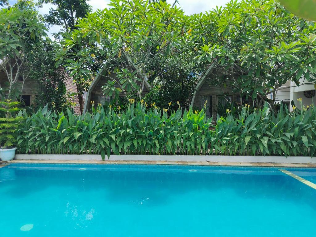 Lavella Villas Kuta Lombok - 6