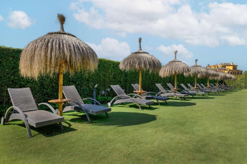 a row of chairs and straw umbrellas on a lawn at NH Collection Marbella in Marbella