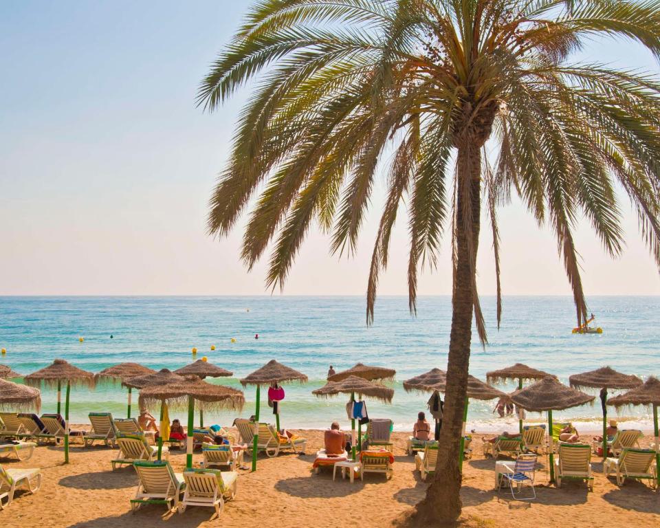 a beach with chairs and umbrellas and a palm tree at NH Collection Marbella in Marbella