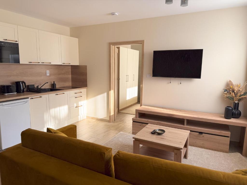Kuchyň nebo kuchyňský kout v ubytování Viola Apartman