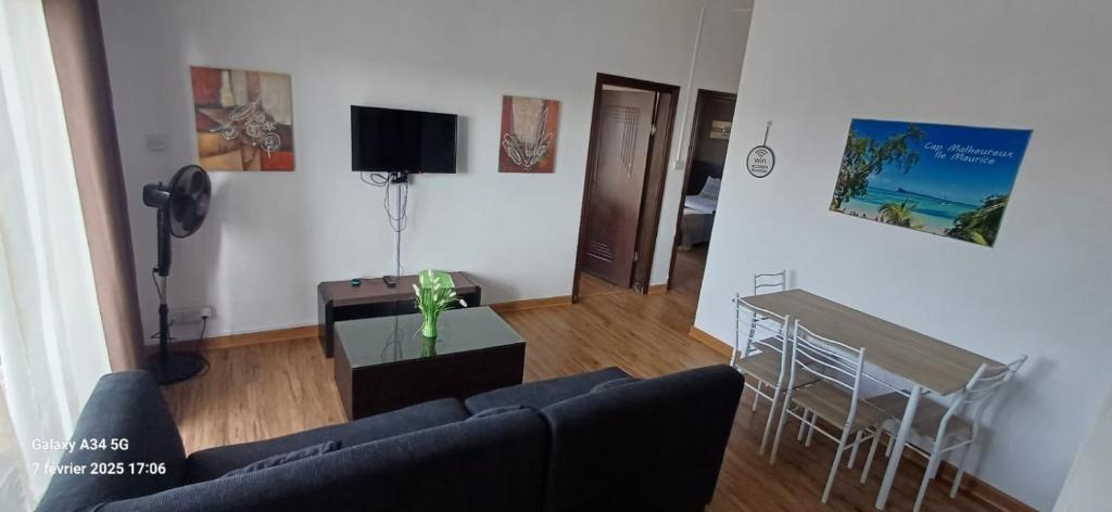 TV a/nebo společenská místnost v ubytování Le Binome