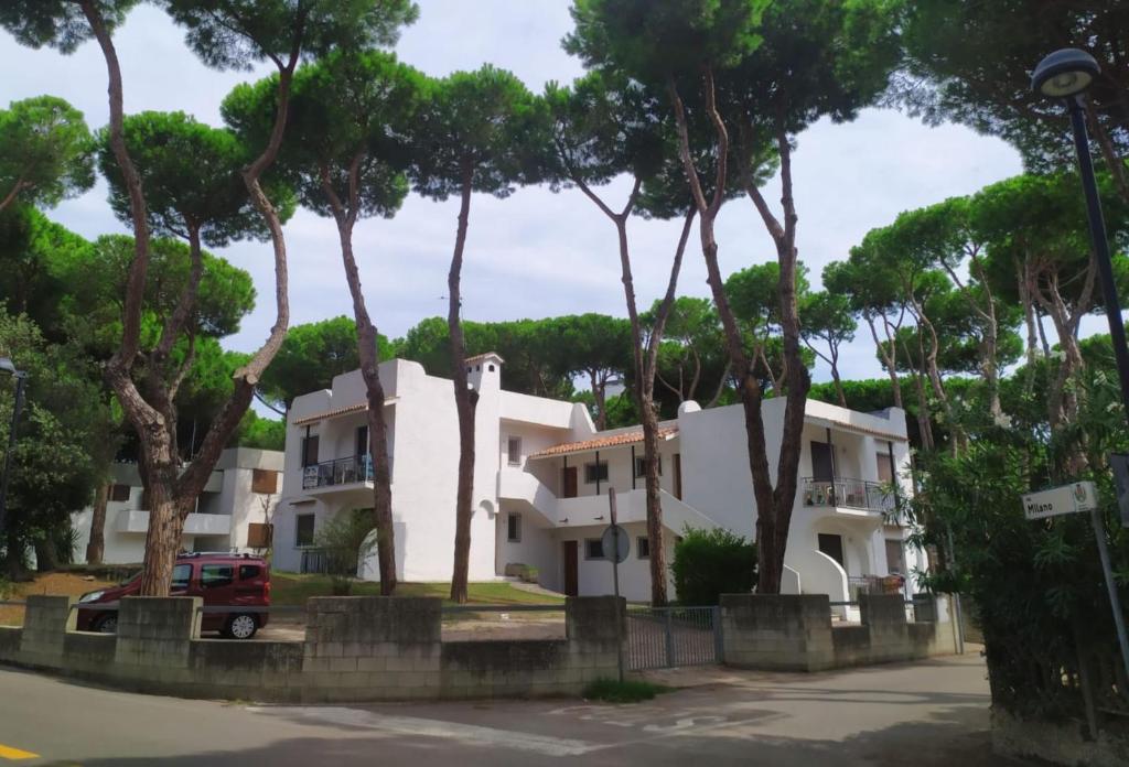 a row of trees in front of a building at Berta in Rosolina