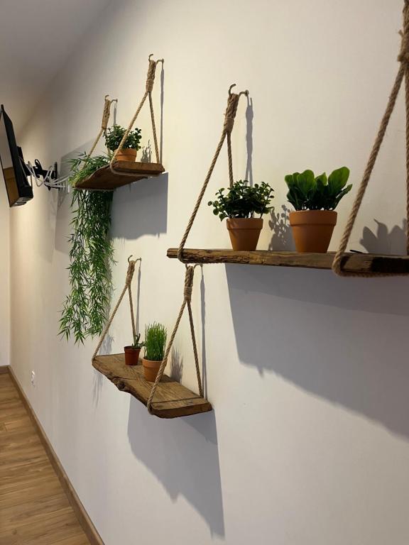 Zdjęcie z galerii obiektu La Voûte du Pilat & options SPA, massage w mieście Saint-Chamond
