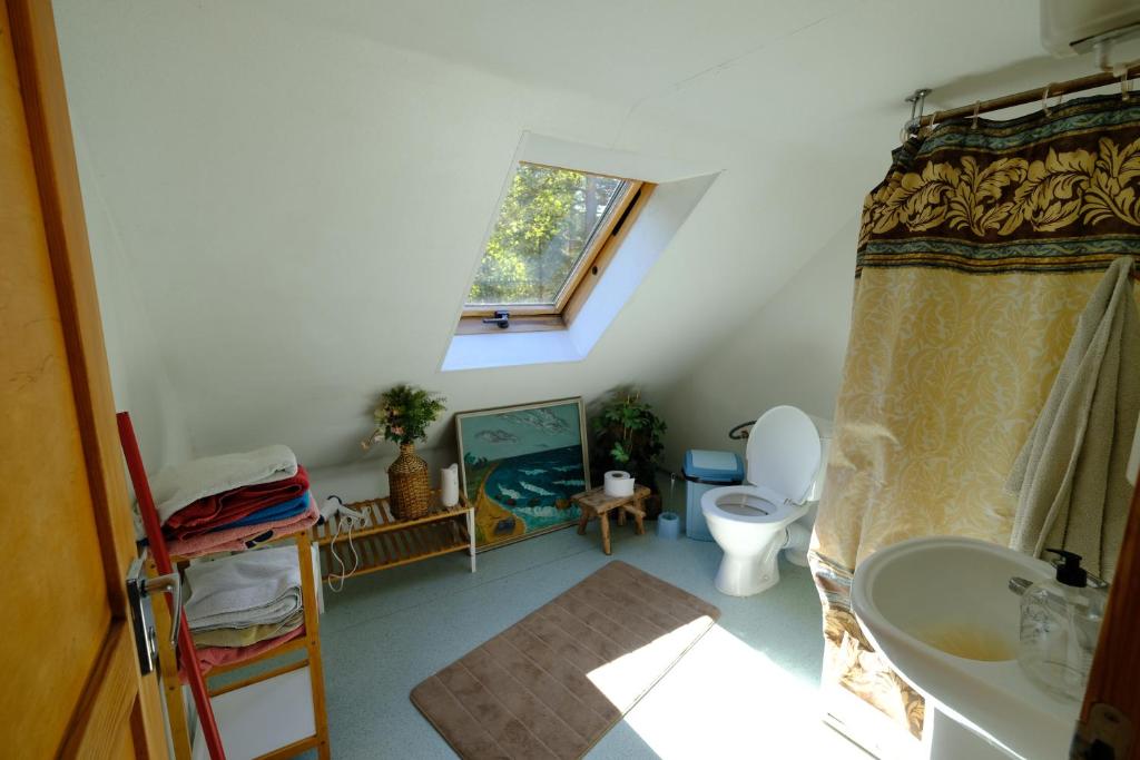 Kallaste Talu- Turismitalu & Holiday Resort - Habitación Económica Con 2 Camas Individuales
