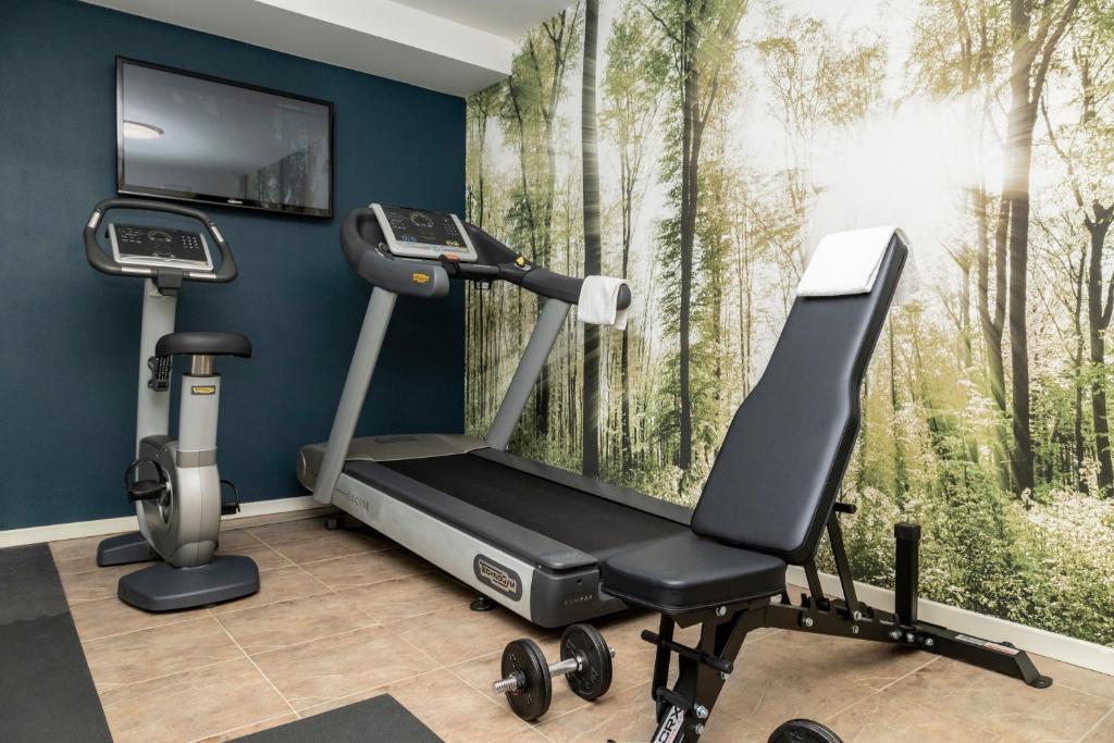 Fitness centrum a/nebo fitness zařízení v ubytování Hotel Alle Acque