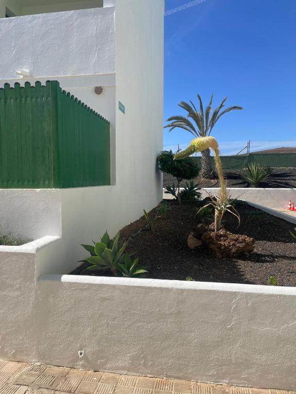 Fotografie z fotogalerie ubytování FuerteSun Dunas beach v destinaci Parque Holandes