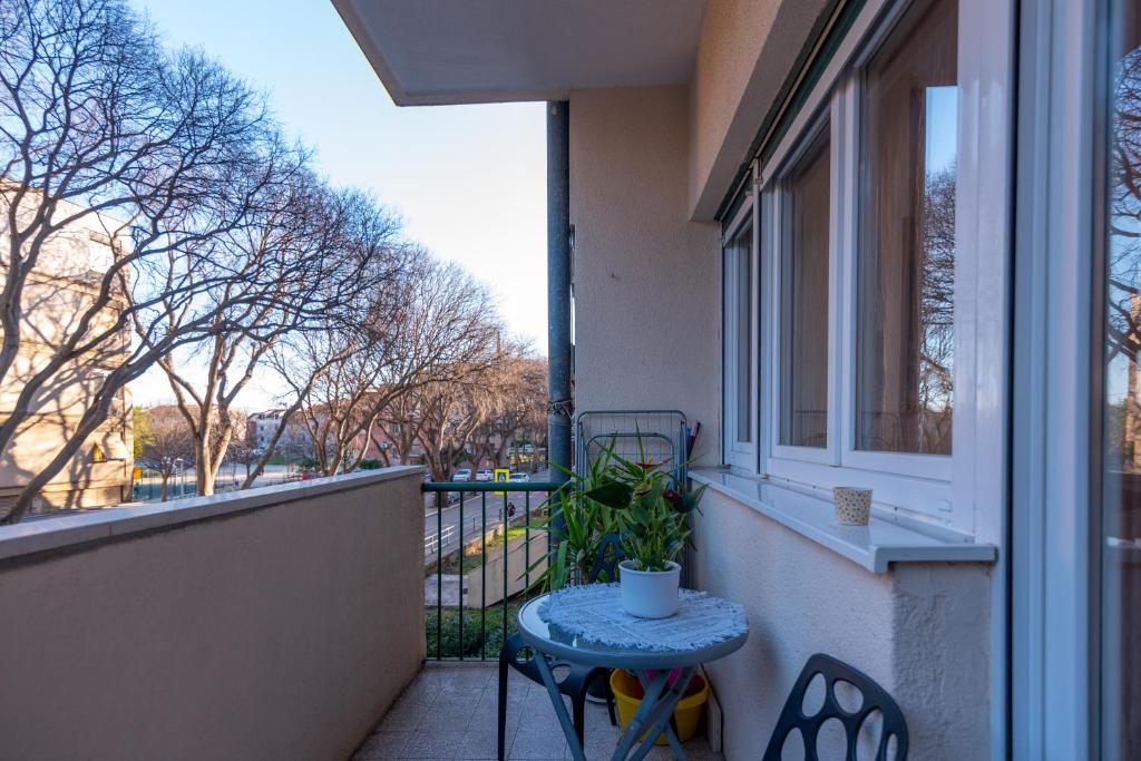 Cozy apartment with balcony in center