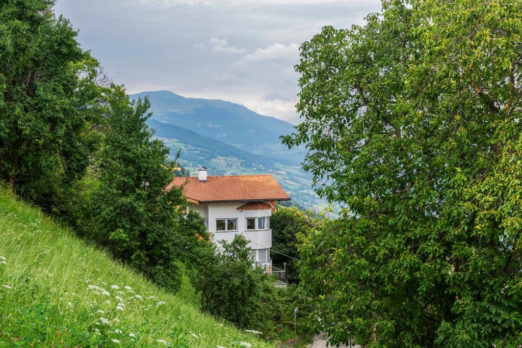 Táj a vendégház közelében