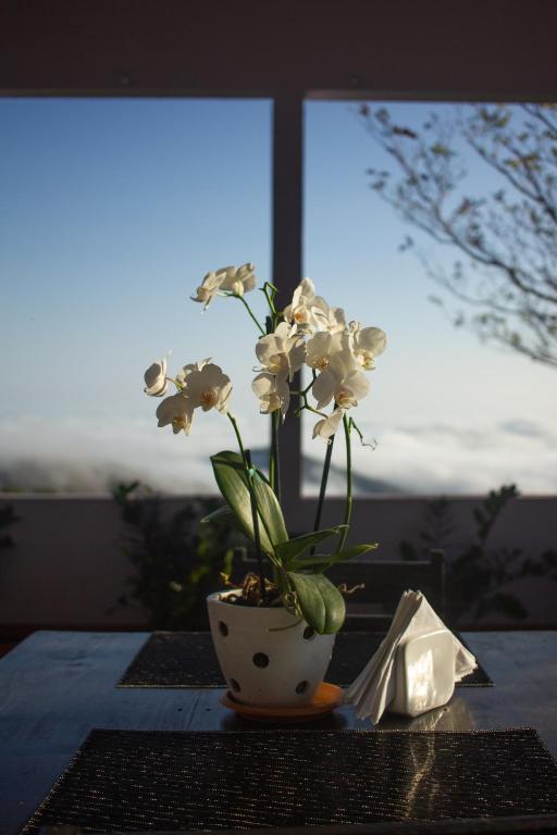 Fotografie z fotogalerie ubytování Nosara Hideaway 2 - BREAKFAST INCLUDED & Mountain View Cabins v destinaci Nicoya