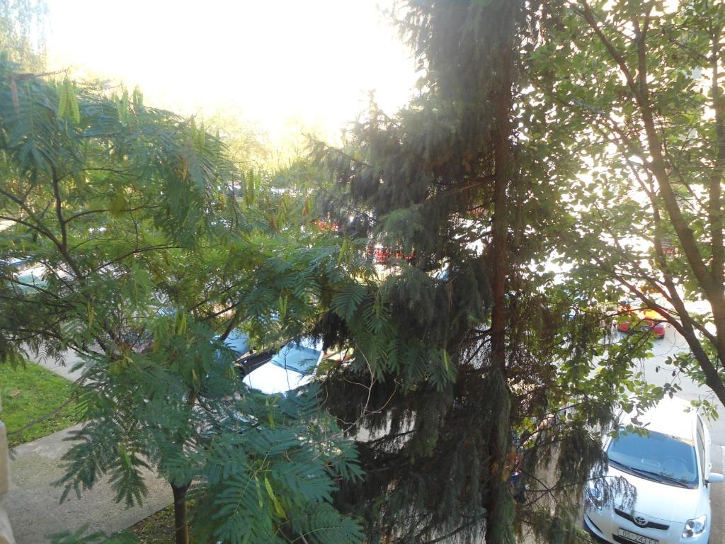 Zahrada ubytování Apartman Osijek
