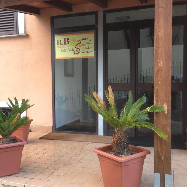 two potted plants in front of a building at Raggio di Sole in Rende