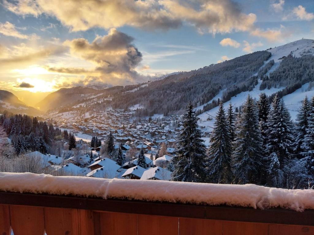 - une vue sur la ville dans la neige dans l'établissement Chalet individuel avec Wi-Fi, parking privé et animaux acceptés - FR-1-671-58, aux Gets