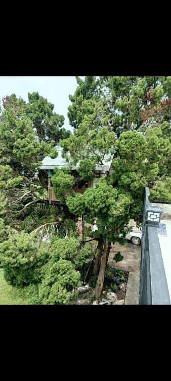 Φωτογραφία από το άλμπουμ του View X & Camper ที่พักเขาค้อเต็นท์โดมขนาดใหญ่ σε Phetchabun