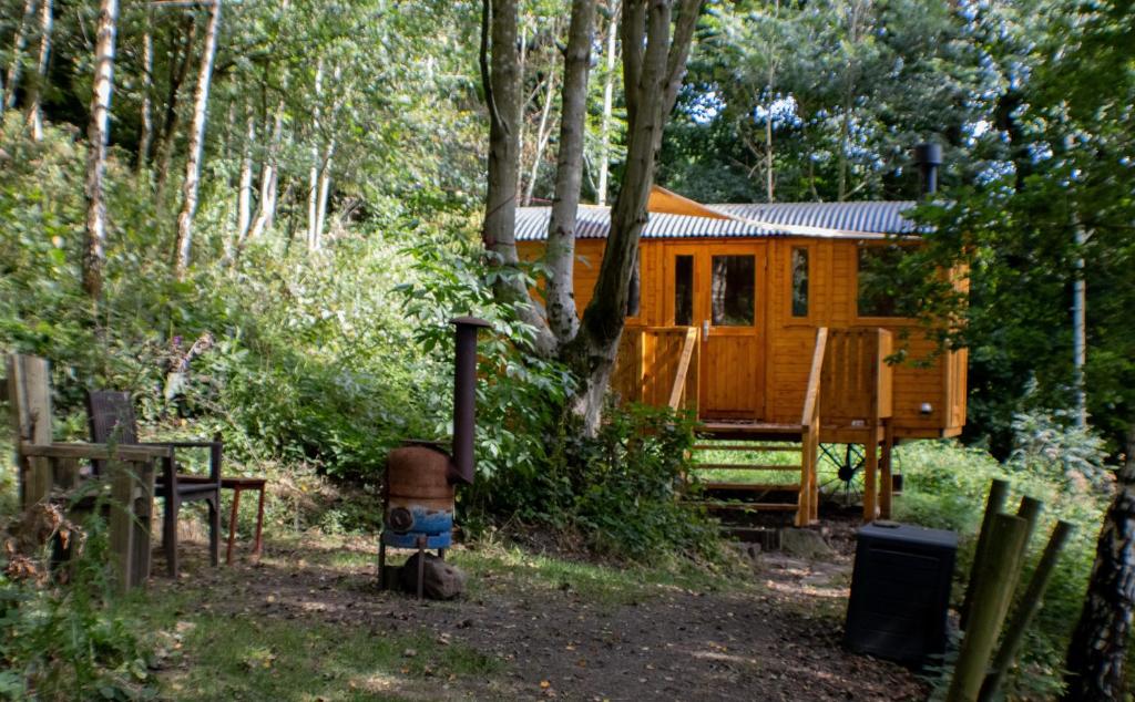 Zahrada ubytování Peggy's Cabin in the Woods