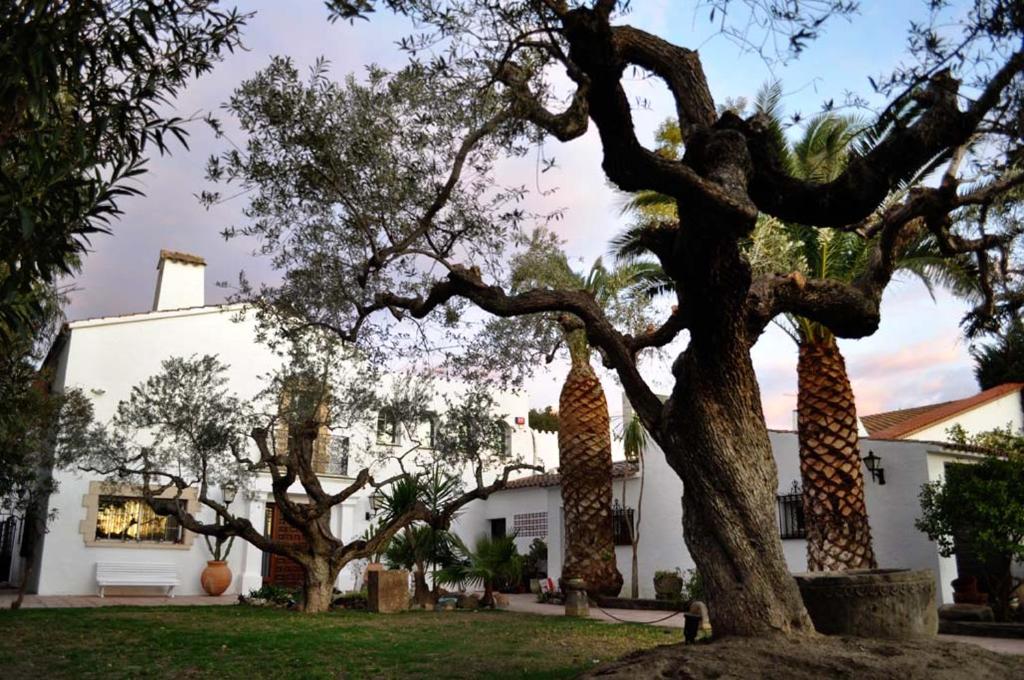 Villa Da Vinci Playa