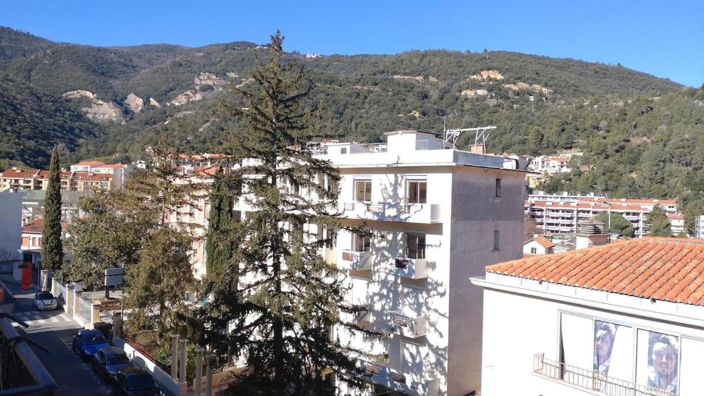 un bâtiment blanc avec un arbre en face d'une montagne dans l'établissement Joli duplex-mezzanine à Amélie-les-Bains, à Amélie-les-Bains-Palalda