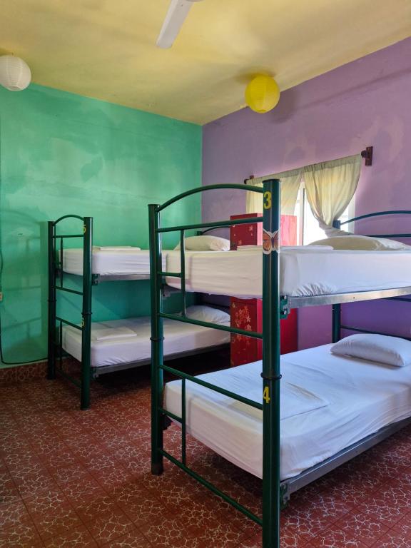 Postel nebo postele na pokoji v ubytování Casa Kraken Hostel