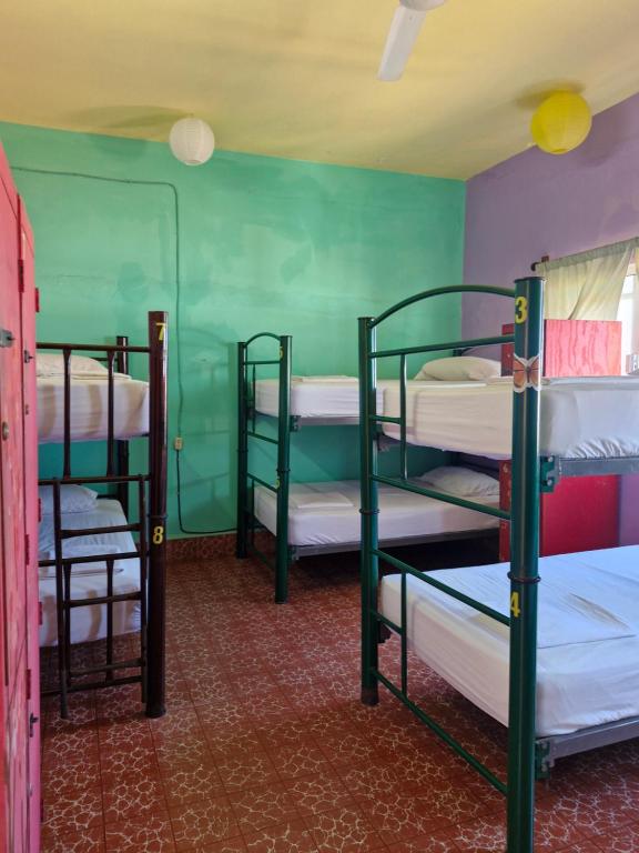 Postel nebo postele na pokoji v ubytování Casa Kraken Hostel