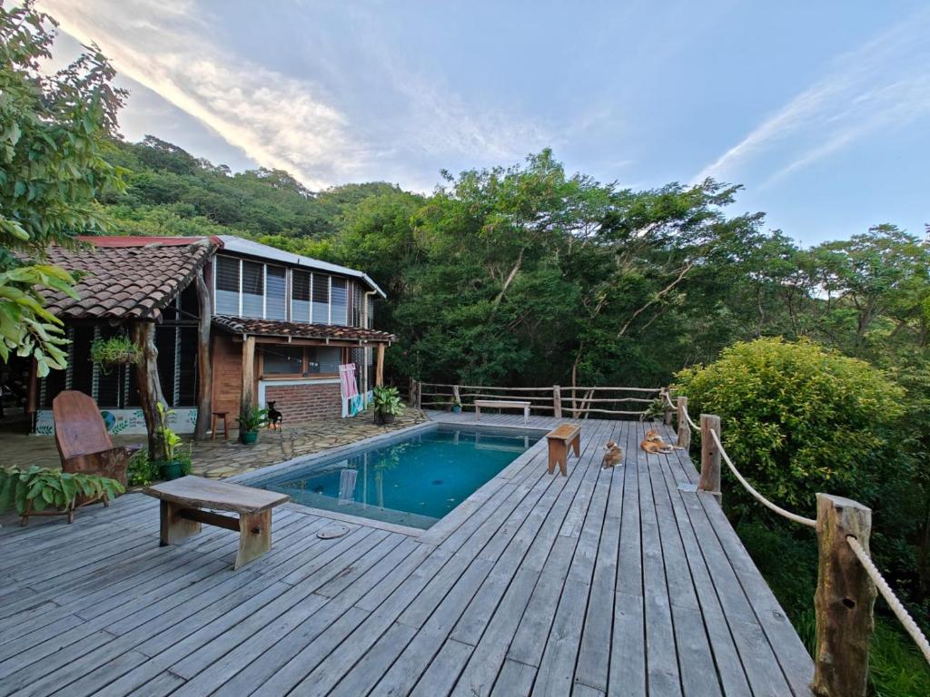 zwei Hunde stehen auf einer Terrasse neben einem Pool in der Unterkunft Jungle Farm, Digital Detox Cottage in Nicaragua in La Esperanza