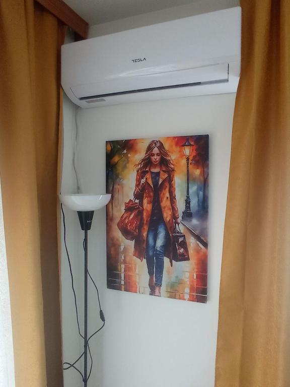 Fotografie z fotogalerie ubytování Apartman Dunja i Petar v destinaci Vranje