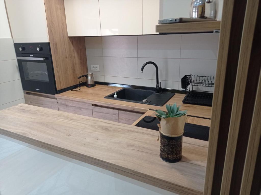 Kuchyň nebo kuchyňský kout v ubytování Apartman Dunja i Petar