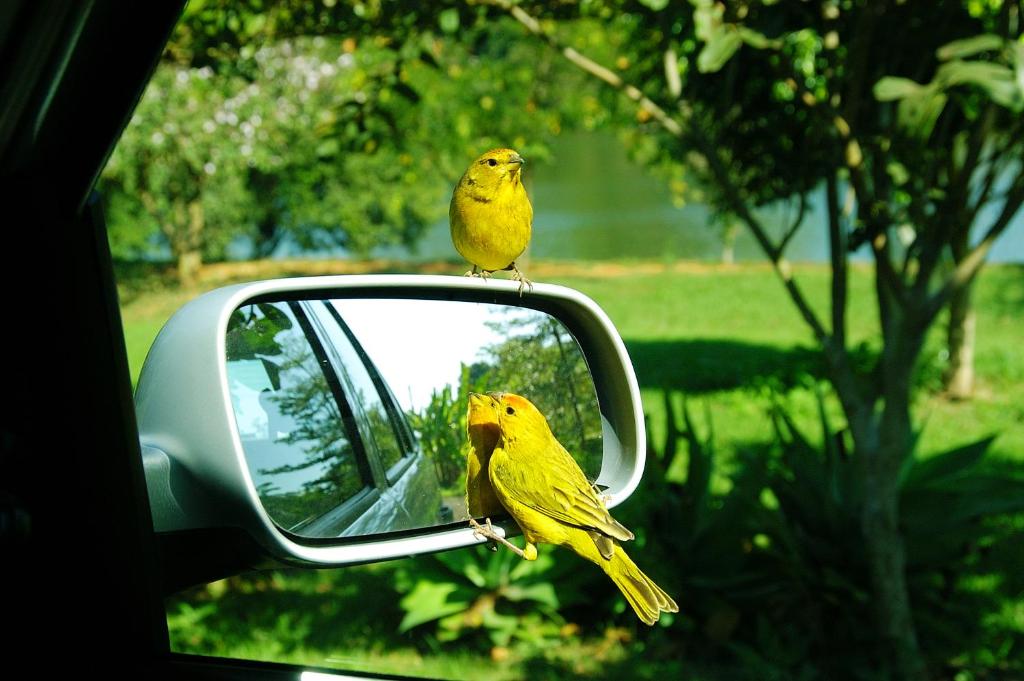  Hotel Fazenda Areia que Canta