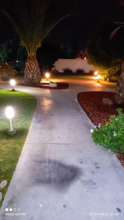 a walkway in a park at night with lights at departamentos tres habitaciones in La Serena