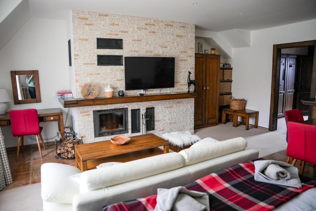 TV a/nebo společenská místnost v ubytování Family apartment in Tatranska Lomnica