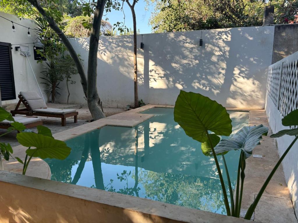 una piscina en el patio trasero de una casa en Casa Ramona, en Mérida