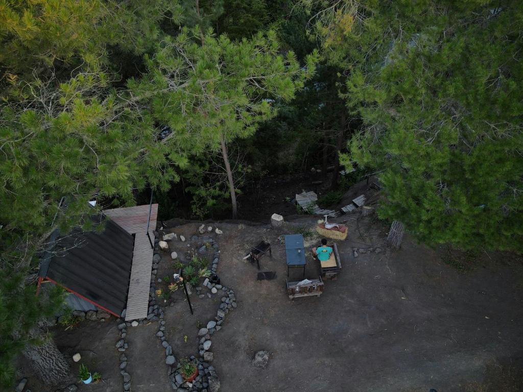 Příroda nedaleko luxury tent
