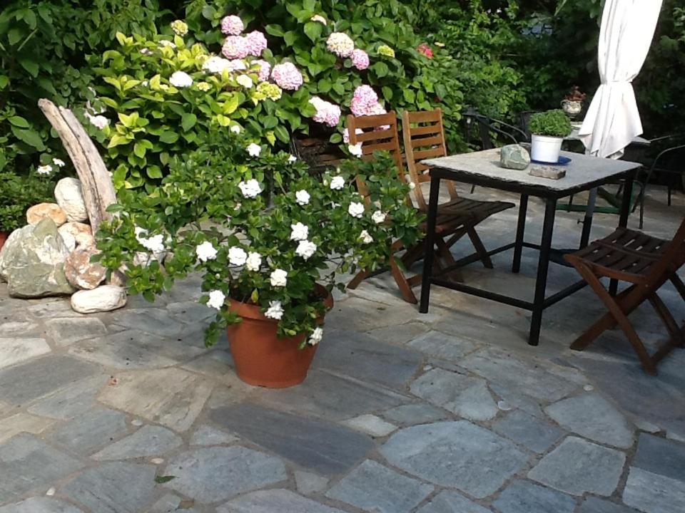 Vonkajšia záhrada v ubytovaní Guesthouse Kleopatra's